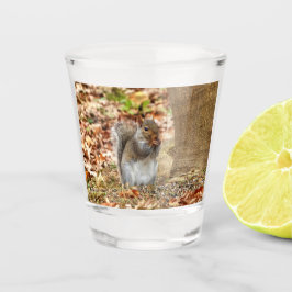 Copo De Shot Esquilo famoso