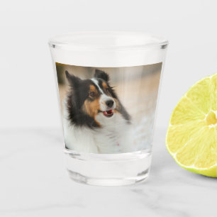 Copo De Shot Feliz Shelty