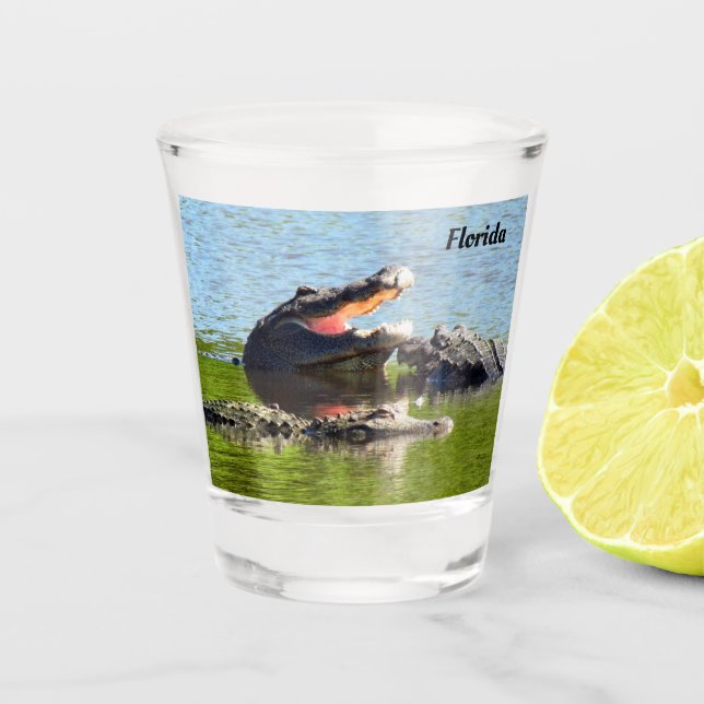 Copo De Shot Flórida - Gator Party Gator Shot Glass (Personaliz (Frente)