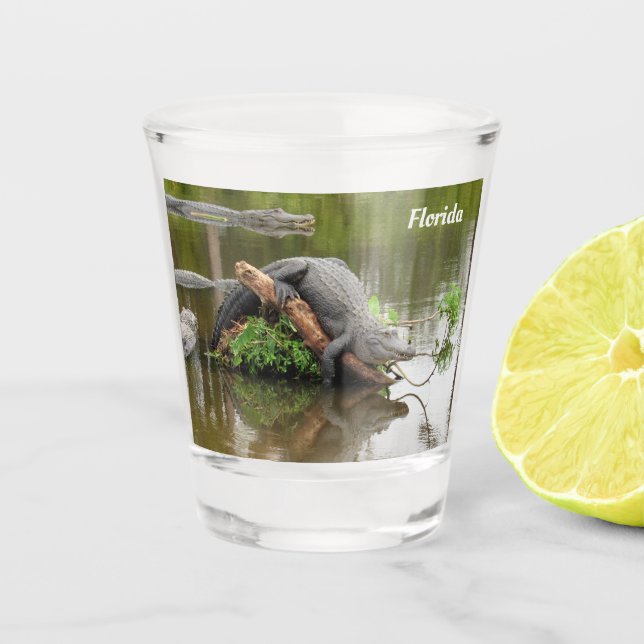 Copo De Shot Flórida Gator Shot Glass - Personalize facilmente (Frente)
