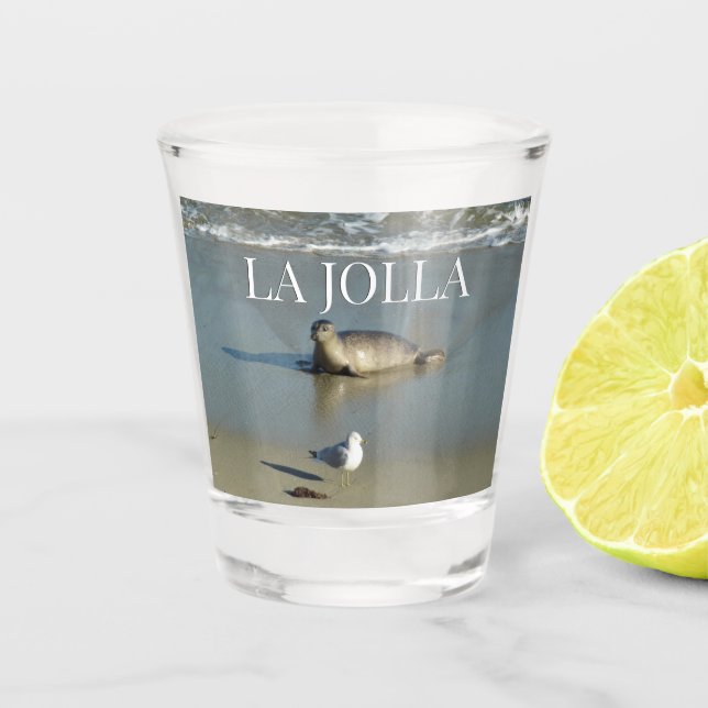 Copo De Shot Foca-comum em La Jolla Califórnia (Frente)