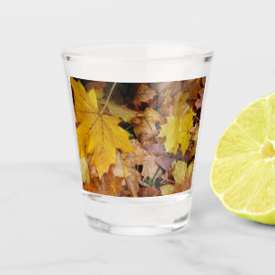 Copo De Shot Folhas de bordo caídas amarelas de outono natureza