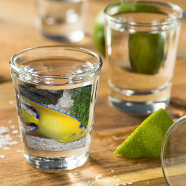 Copo De Shot Foto de Angelfish, Rainha Amarela e Azul