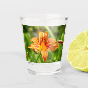 Copo De Shot Foto de flor Lily grande e bonita