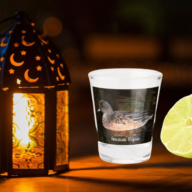 Copo De Shot Foto do American Wigeon Wildlife (In Situ)