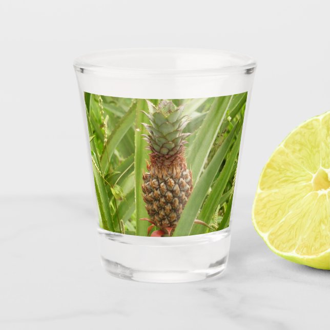 Copo De Shot Fruta tropical de ananás selvagem na natureza (Frente)