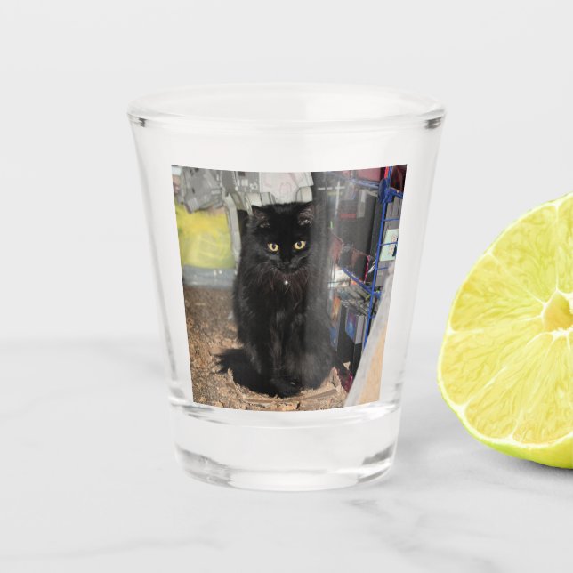 Copo De Shot Gato (Frente)