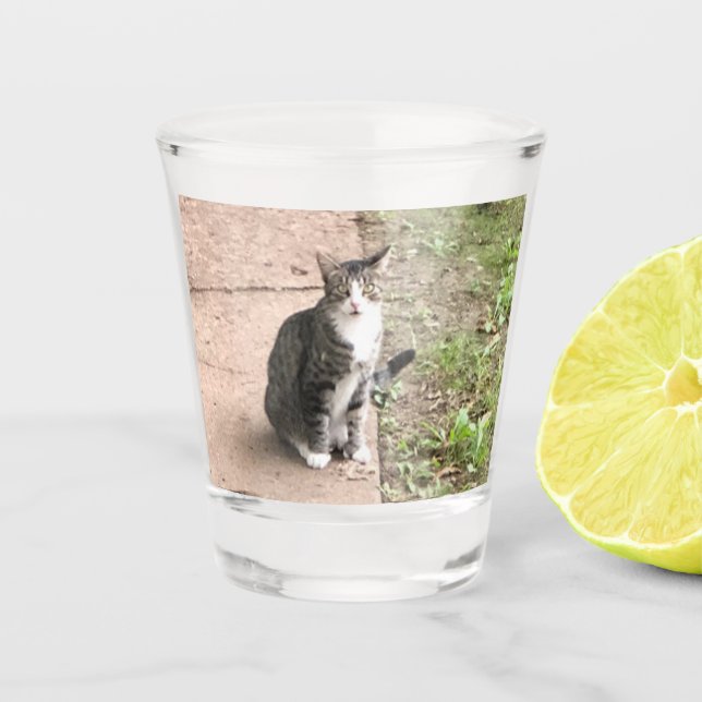 Copo De Shot Gato (Frente)