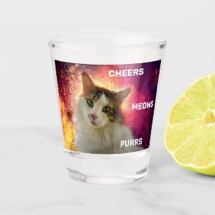 Copo De Shot Gato de Calico Cento Adorável