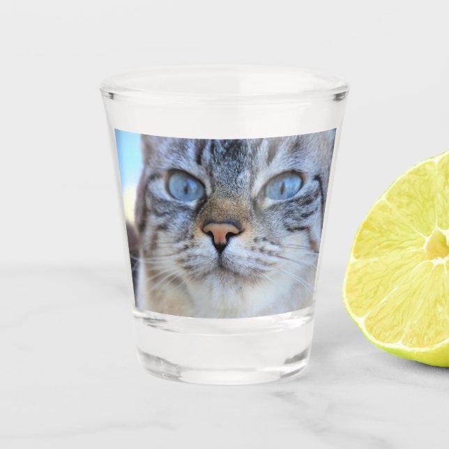 Copo De Shot Gato de cinza (Frente)