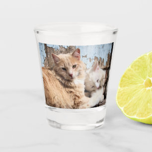 Copo De Shot Gatos