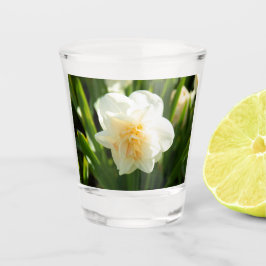 Copo De Shot Grandes narcisos brancos em um dia de primavera   