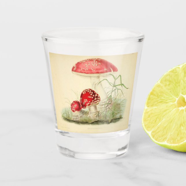 Copo De Shot Ilustração vítrea de um cogumelo (Frente)