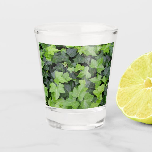 Copo De Shot Impressão de Botânica de Ivy Verde (Frente)