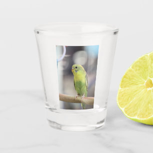 Copo De Shot Kiwi Burbell
