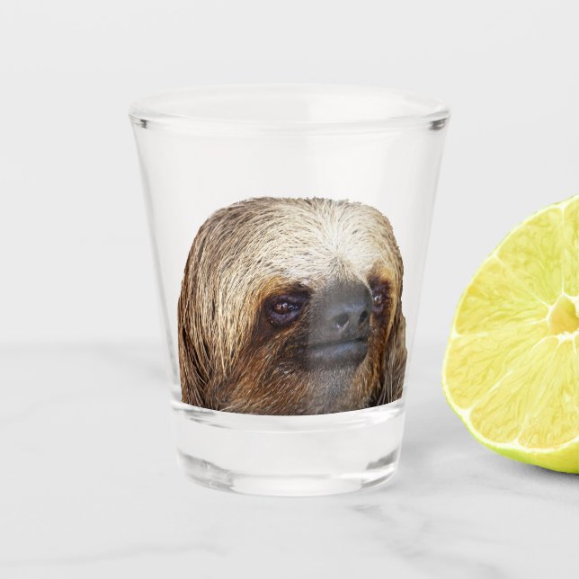 Copo De Shot Lama (Frente)