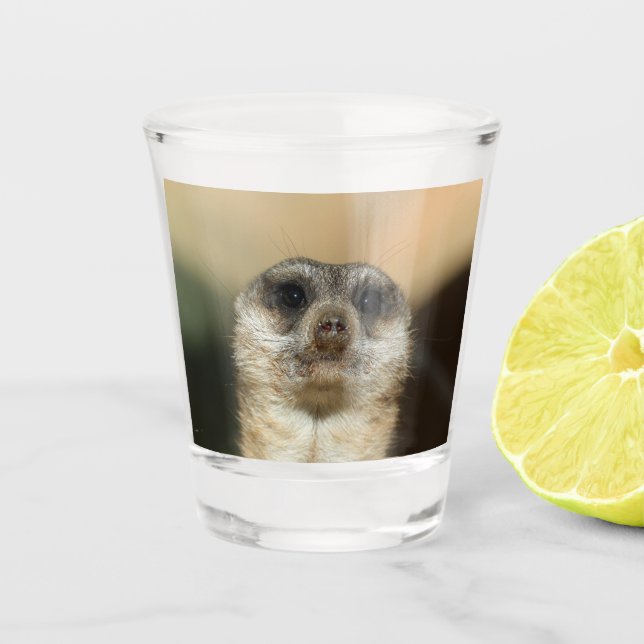 Copo De Shot Meerkat 023 (Frente)