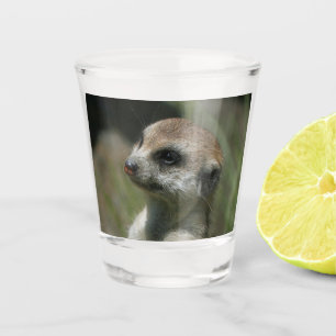 Copo De Shot Meerkat 043