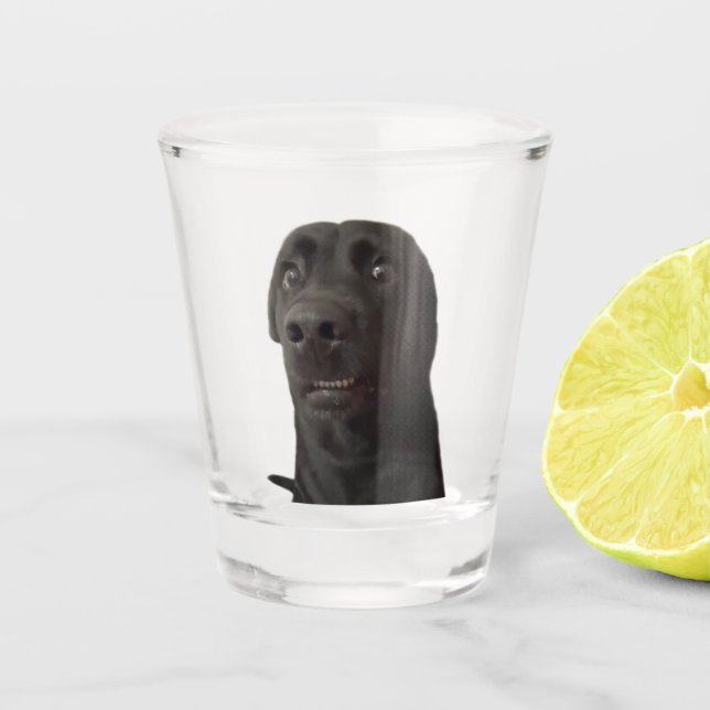 Copo De Shot Memória De Cachorro Assustada De Vidro Atirado (Frente)