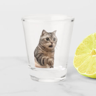 Copo De Shot Memória de Gato Chocada com Vidro Fotografado