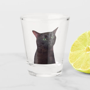 Copo De Shot Memória de Gato de Vidro Seco