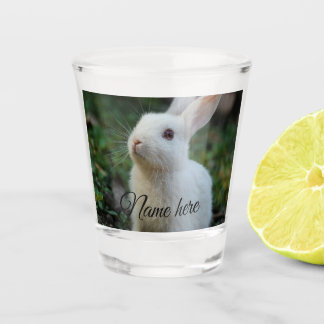 Copo De Shot Modelo de foto de nome de animal de estimação simp