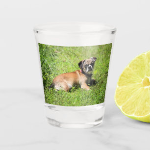 Copo De Shot Molly