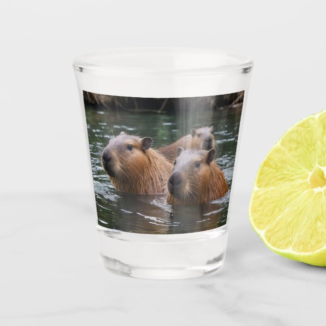 Copo De Shot Natação dos capivaras no rio,  (Frente)