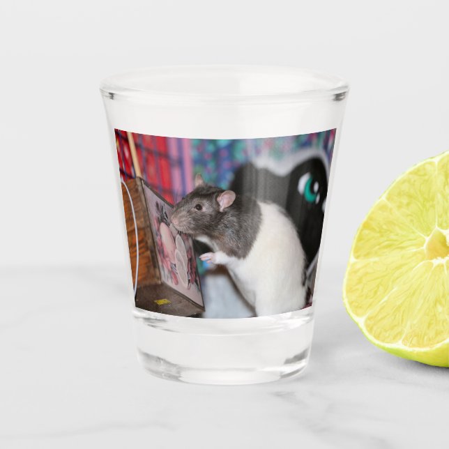 Copo De Shot Nosey Rat (Frente)