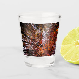 Copo De Shot O topo das árvores