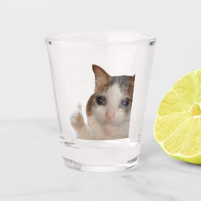 Copo De Shot O Vidro De Tiro Dói Ok, Meme Gato (Frente)