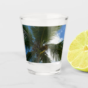 Copo De Shot Olhando para a natureza tropical da árvore de palm