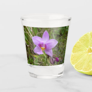 Copo De Shot Orquídea Selvagem Roxa Flor Tropical