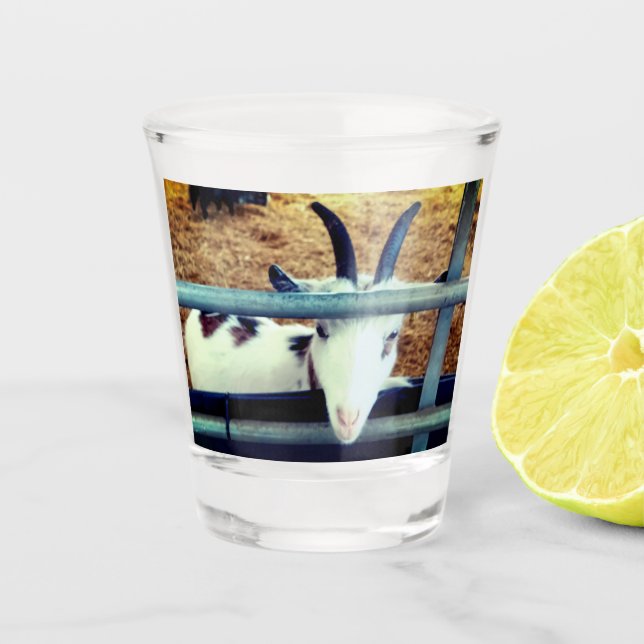 Copo De Shot Pequena fofa (Frente)