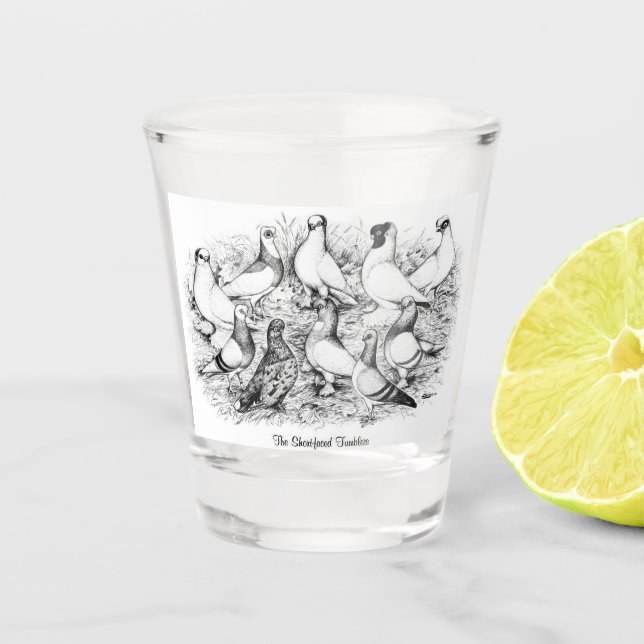 Copo De Shot Pigeons de Tumbler de faces curtas (Frente)