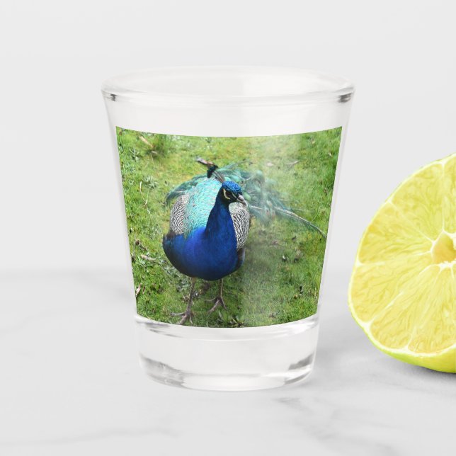 Copo De Shot Poder do Pavão Real  (Frente)