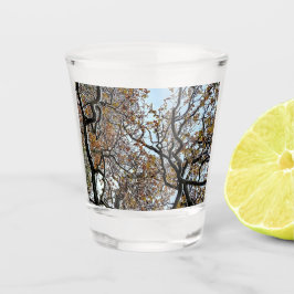 Copo De Shot Ramais, com folhas de laranja