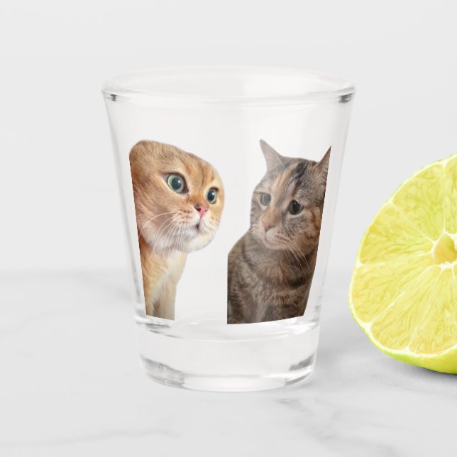 Copo De Shot Shot Glass Talking Cats Memory (Frente)