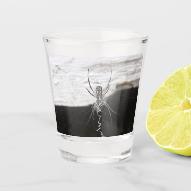 Copo De Shot Spider Shot Glass (Frente)