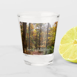 Copo De Shot Sunlit Fall Trail no Parque Estadual de Laurel Hil