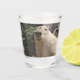 Copo De Shot toony capy 3