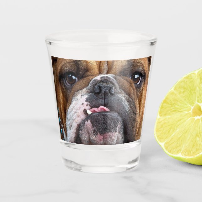 Copo De Shot Travesseiro decorativo Inglês Bulldog (Frente)