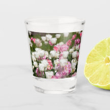 Tulipas brancas e cor-de-rosa brilhantes num dia e