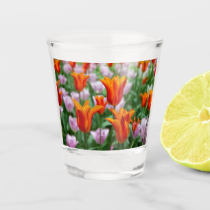 Copo De Shot Tulipas laranja-claras no parque