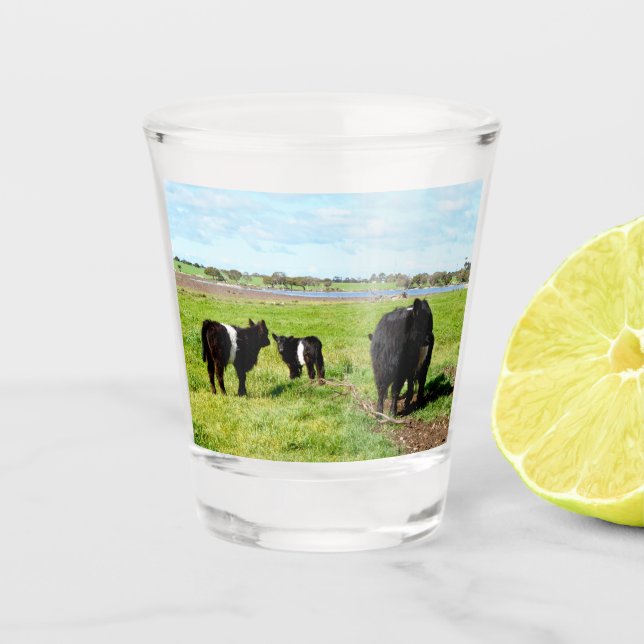 Copo De Shot Vaca Múmia E Bebê Galloway, Vidro Com Atiras (Frente)