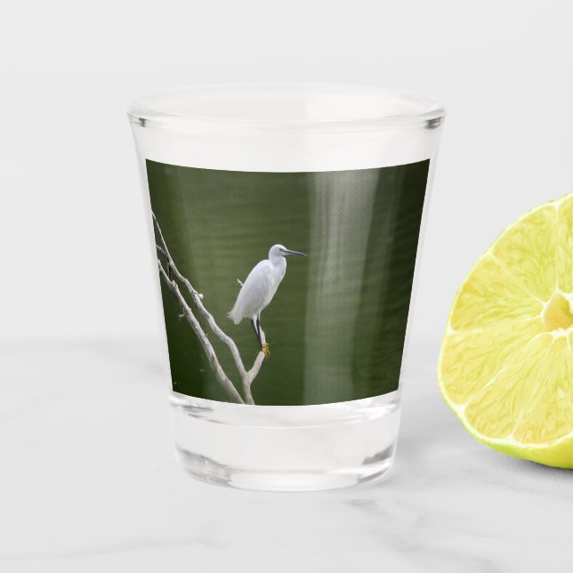 Copo De Shot Verre aigrette garzette (Frente)