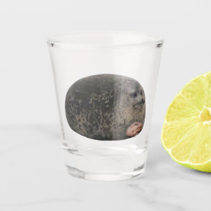 Copo De Shot Vidro A Jorrar Memória Da Foca