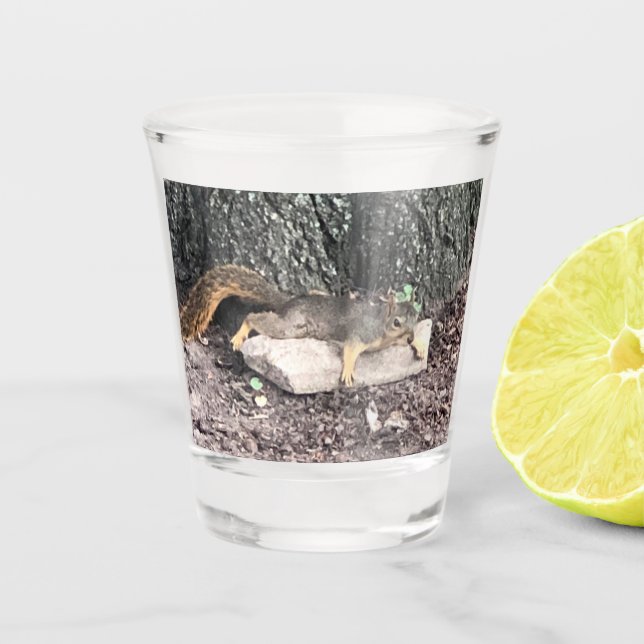 Copo De Shot Vidro de Queda de Esquilo (Frente)