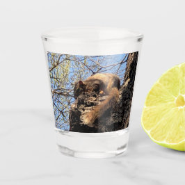 Copo De Shot Vidro de Queda de Esquilo