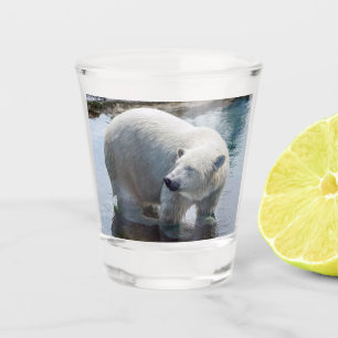 Copo De Shot Vidro de tiro do urso polar